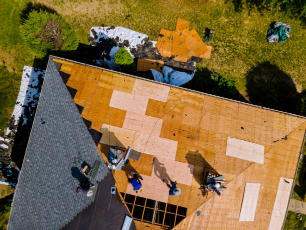 Best Roof Repair Services  in Monongah, WV