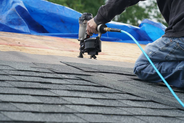 Best New Roof Installation  in Monongah, WV