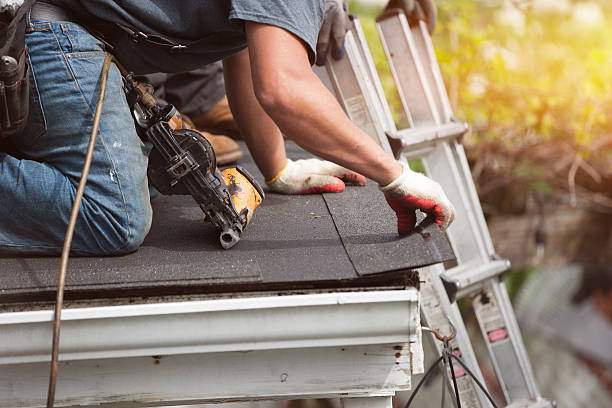 Best Roof Gutter Cleaning  in Monongah, WV